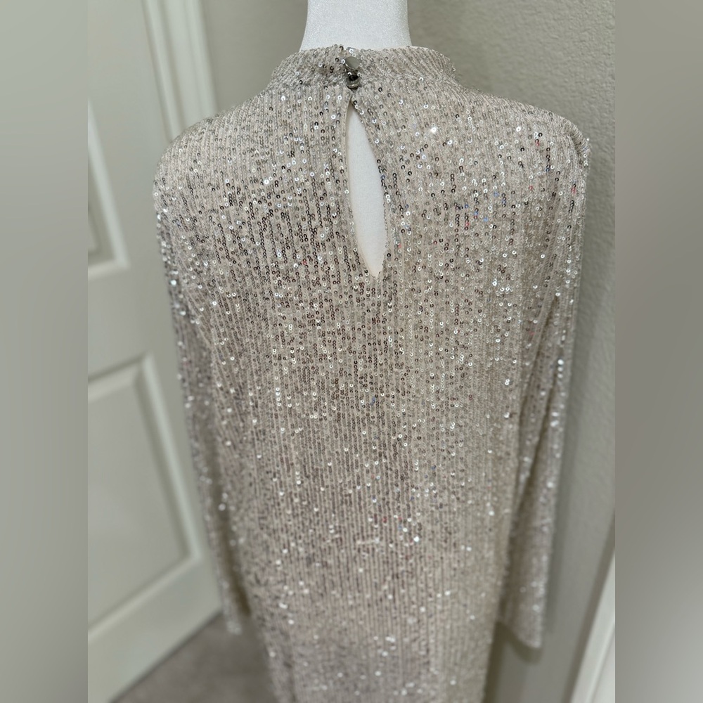 Halogen Sequins Silver Dress with Cream Lining, XL - Picture 9 of 11